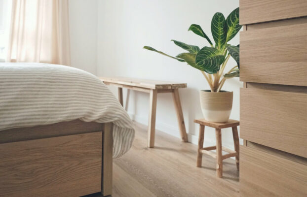 Say Salut to Essentials theme